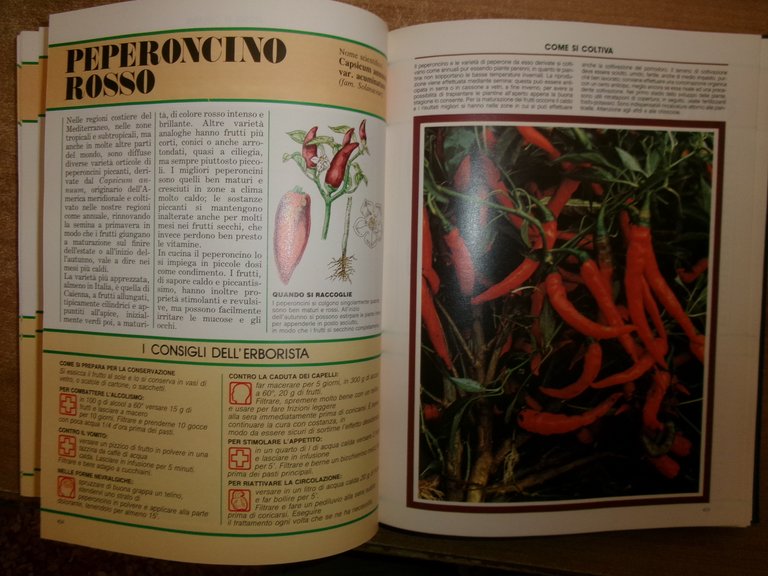 AA. VV. Il Grande Libro delle ERBE. Peruzzo 1988