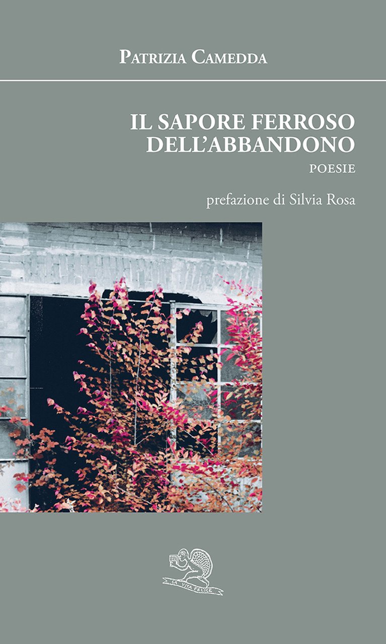 Il sapore ferroso dell'abbandono | Immagine principale