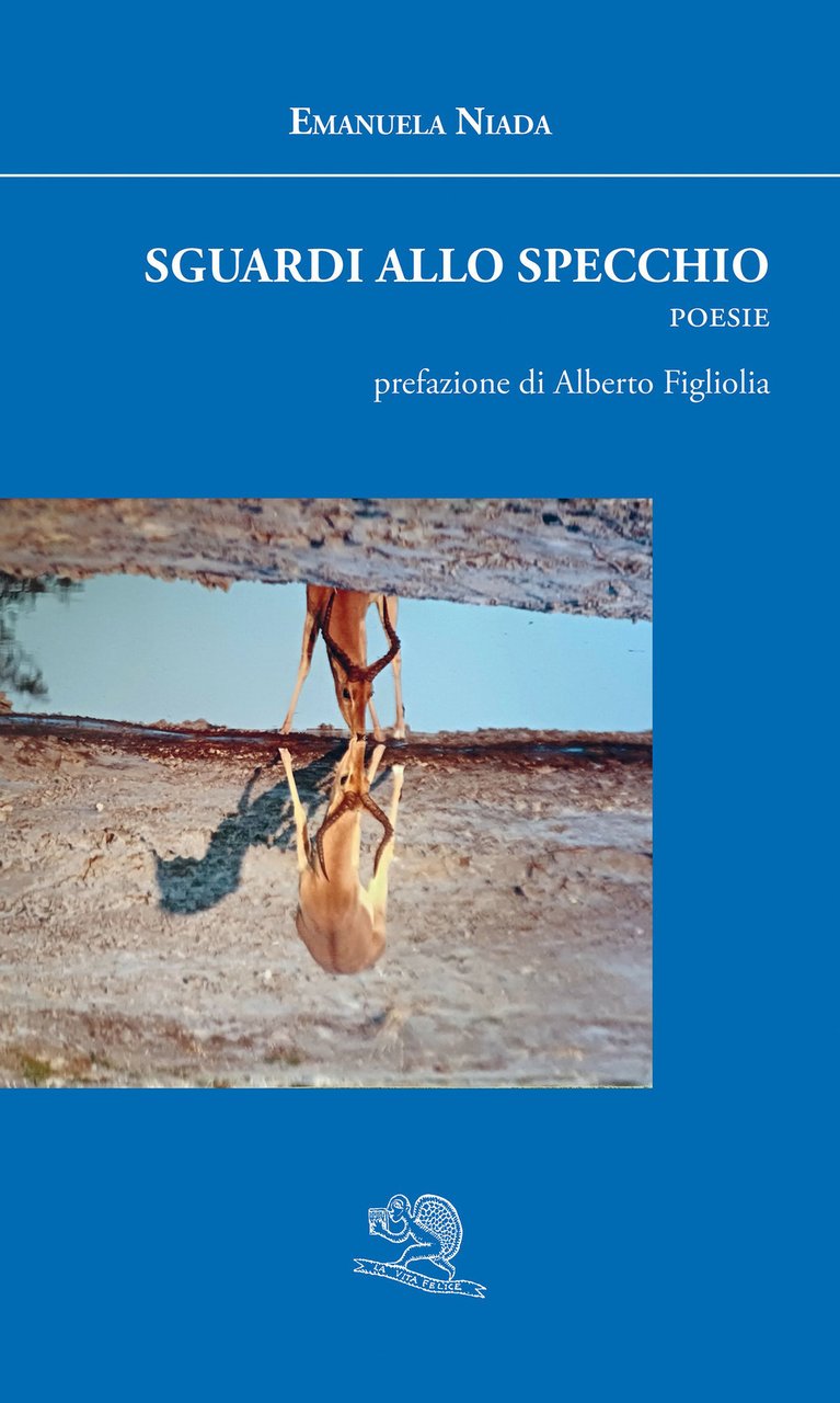 Sguardi allo specchio | Immagine principale