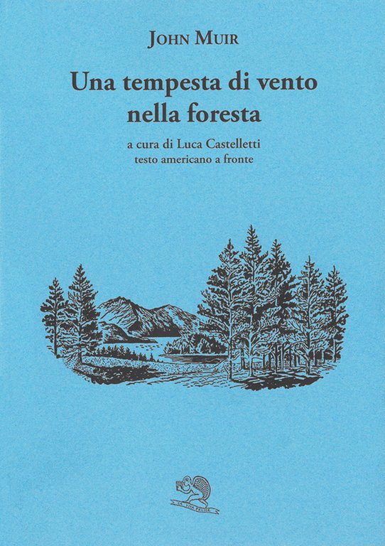 Una tempesta di vento nella foresta. Testo americano a fronte | Immagine Gallery 2