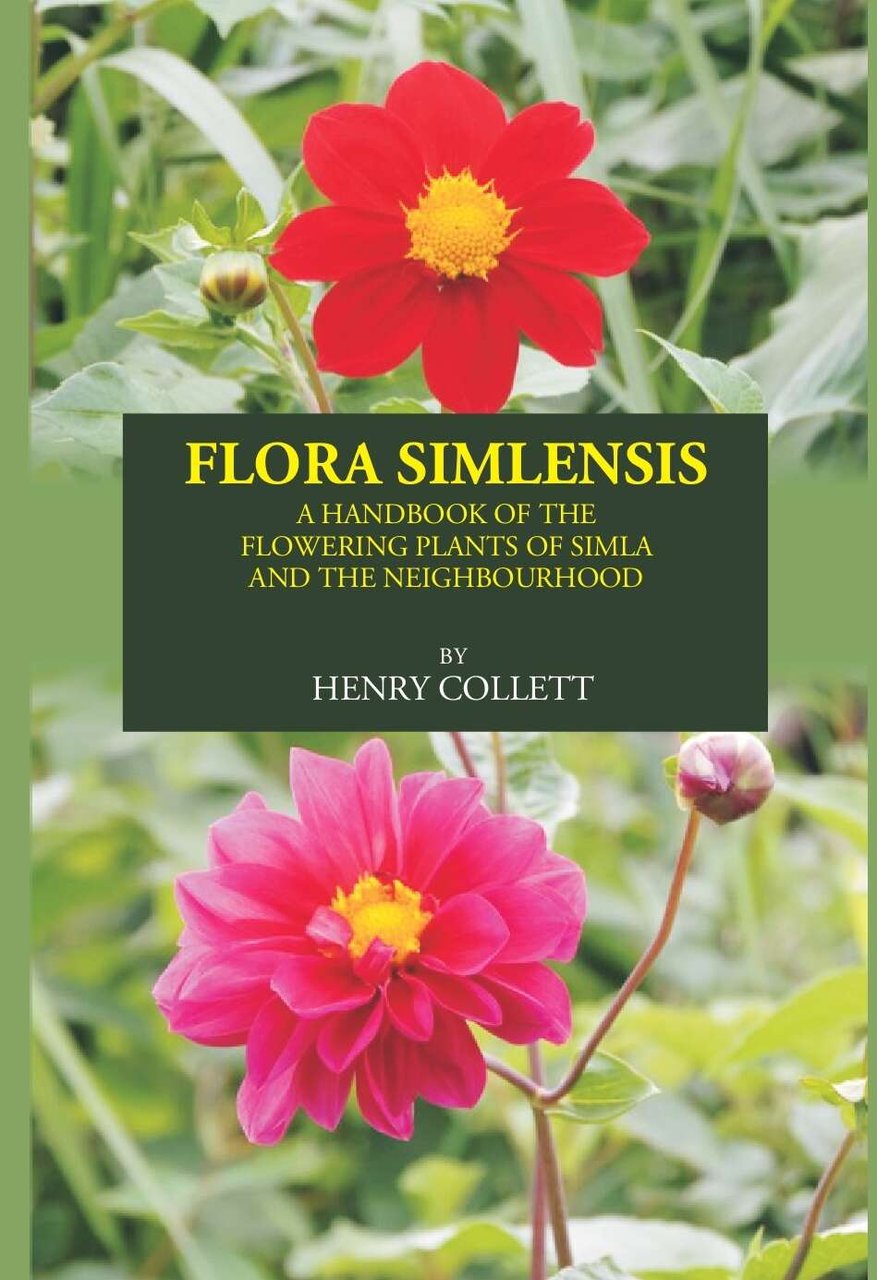 FLORA SIMLENSIS: A HANDBOOK OF THE FLOWERING PLANTS OF SIMLA … | Immagine principale