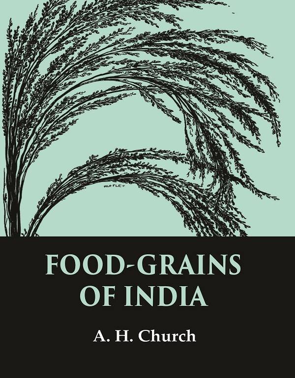 Food-Grains of India | Immagine principale