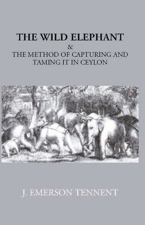 The Wild Elephant & The Method Of Capturing And Taming … | Immagine principale