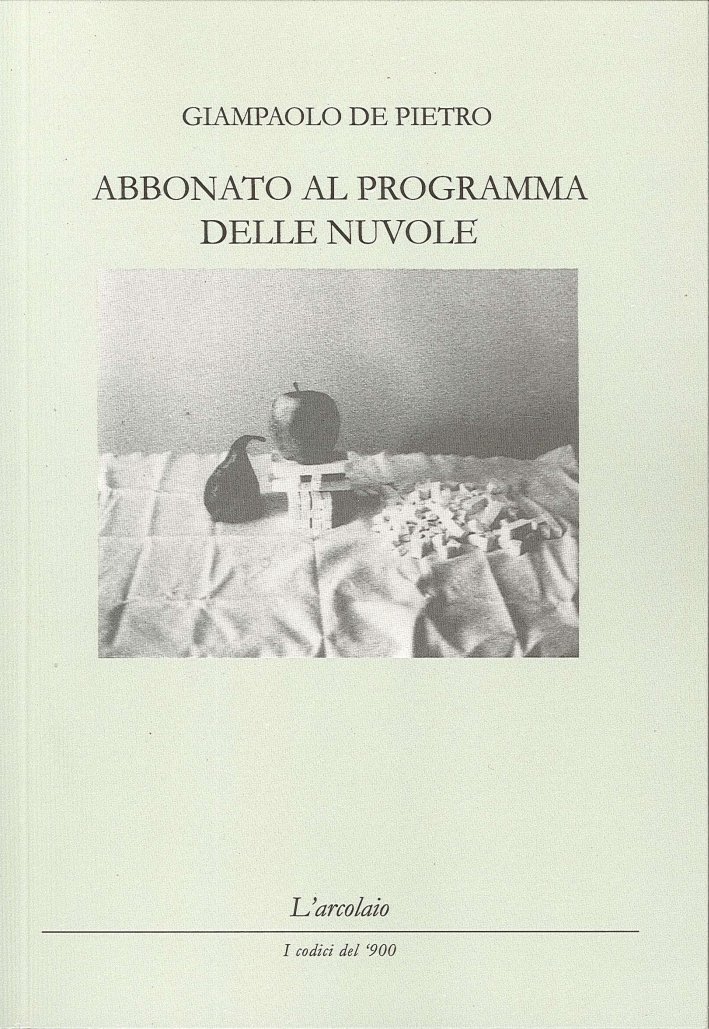 Abbonato al programma delle nuvole, Forlì, L'Arcolaio, 2013 | Immagine principale