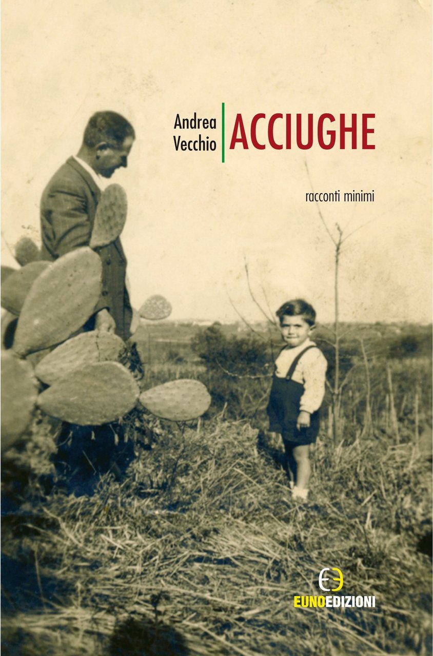 Acciughe. Racconti minimi, Leonforte, Euno Edizioni, 2012 | Immagine principale