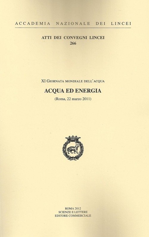 Acqua ed energia, Roma, Accademia Nazionale dei Lincei, 2012 | Immagine principale