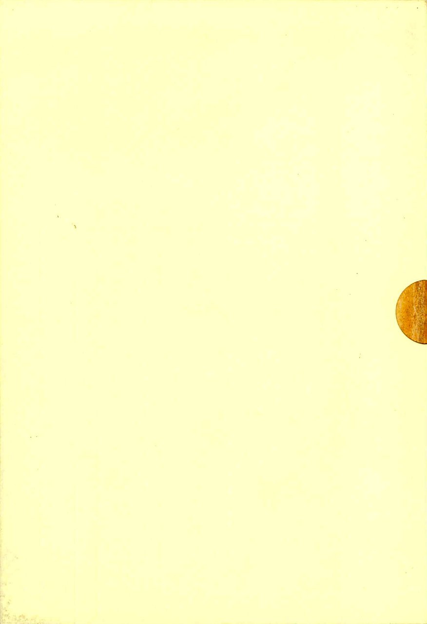 Alla Ricerca dell'Eneide stampata in Civitate Castelli nel 1539. Storie, …