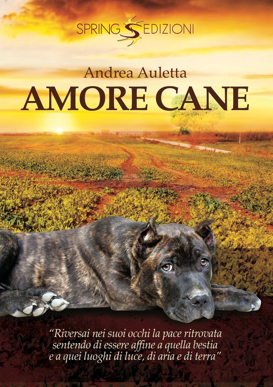 Amore cane | Immagine principale