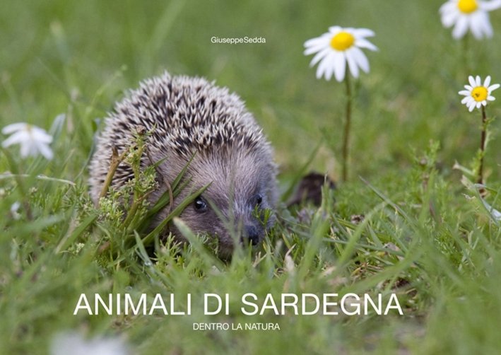 Animali di Sardegna. Dentro la Natura