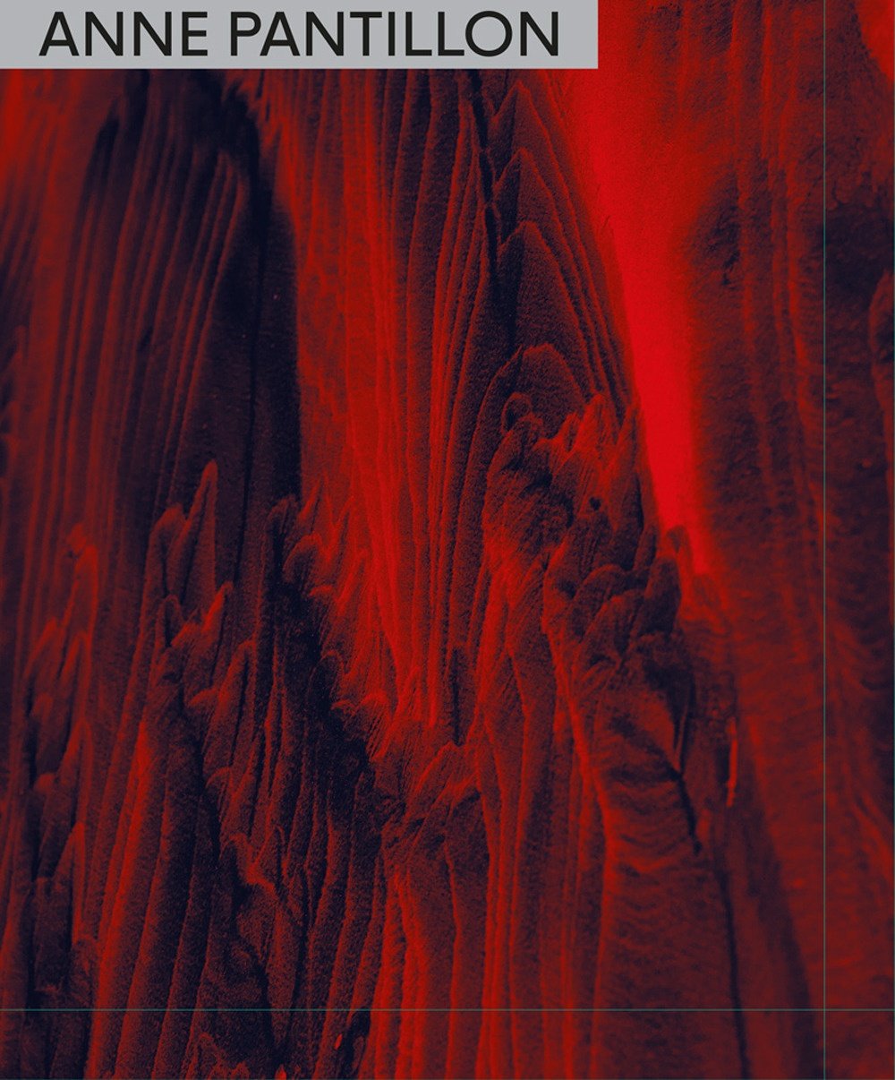 Anne Pantillon, Milano, Five Continents Editions, 2022 | Immagine principale