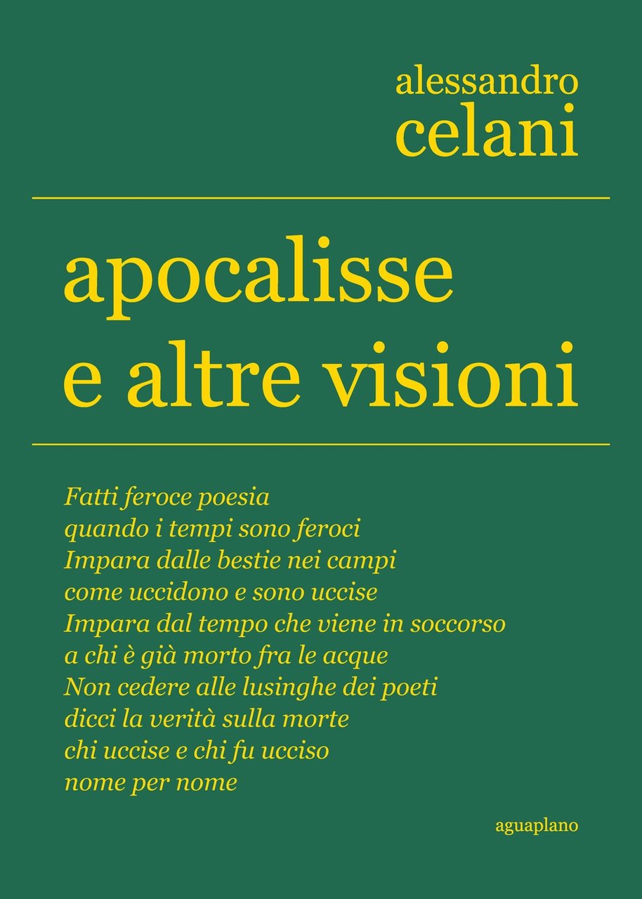 Apocalisse e altre visioni, Perugia, Aguaplano Libri, 2021