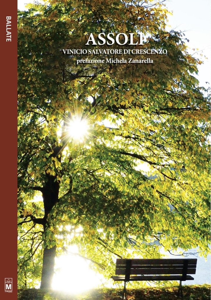 Assoli, Santa Maria Nuova, Le Mezzelane Casa Editrice, 2016