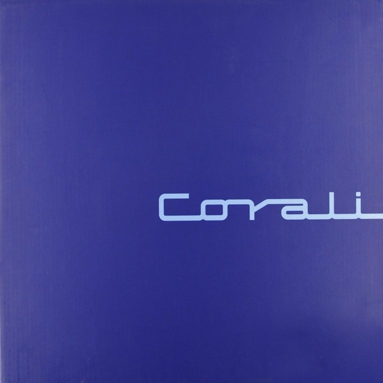 Bruno Corali. Il volo di una gazzella. [Edizione Italiana e Inglese], Bergamo, Lubrina Editore, 2007