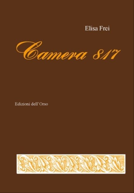 Camera 817