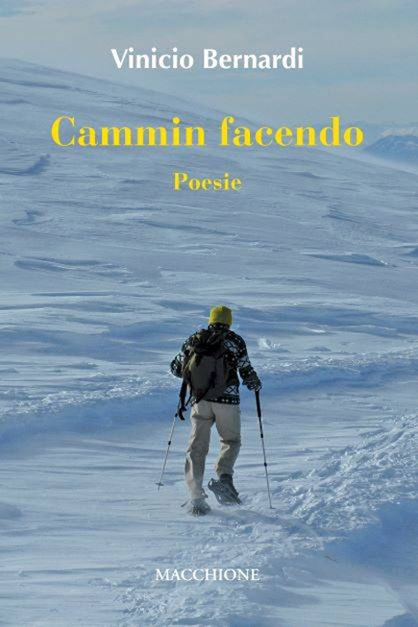 Cammin facendo, Varese, Macchione Editore, 2022