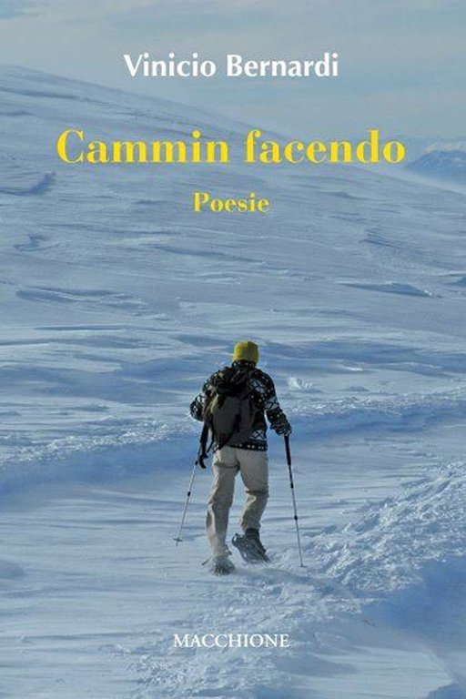 Cammin facendo, Varese, Macchione Editore, 2022