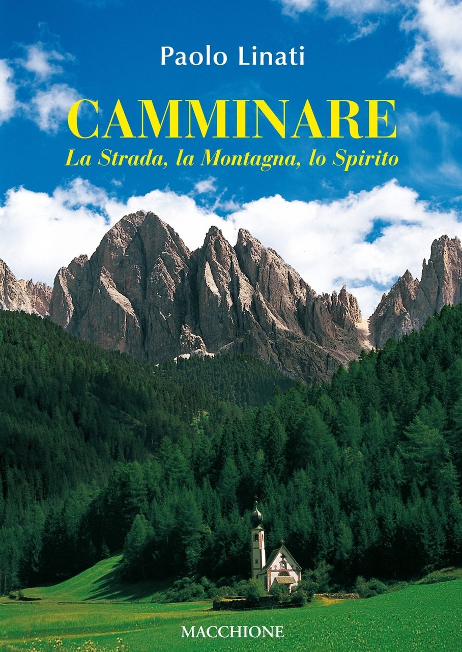 Camminare. La strada, la montagna, lo spirito, Varese, Macchione Editore, …