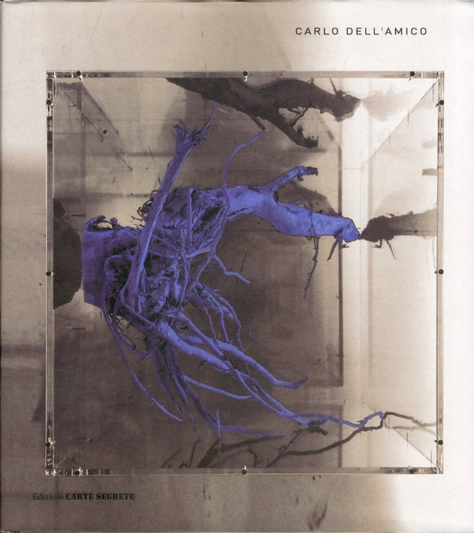 Carlo dell'Amico. Riportati alla luce, lentamente, Roma, Edizioni Carte Segrete, 2009