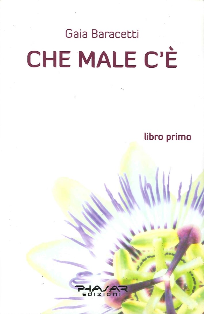 Che Male c'è. Libro Primo, Firenze, Phasar Edizioni, 2013