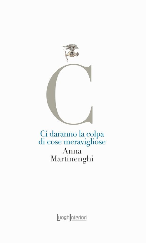 Ci daranno la colpa di cose meravigliose | Immagine principale