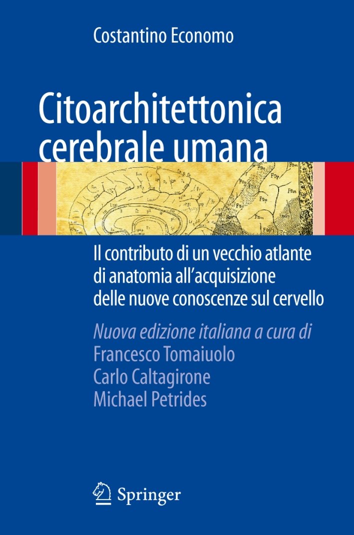 Citoarchitettonica cerebrale umana. Il contributo di un vecchio atlante di …