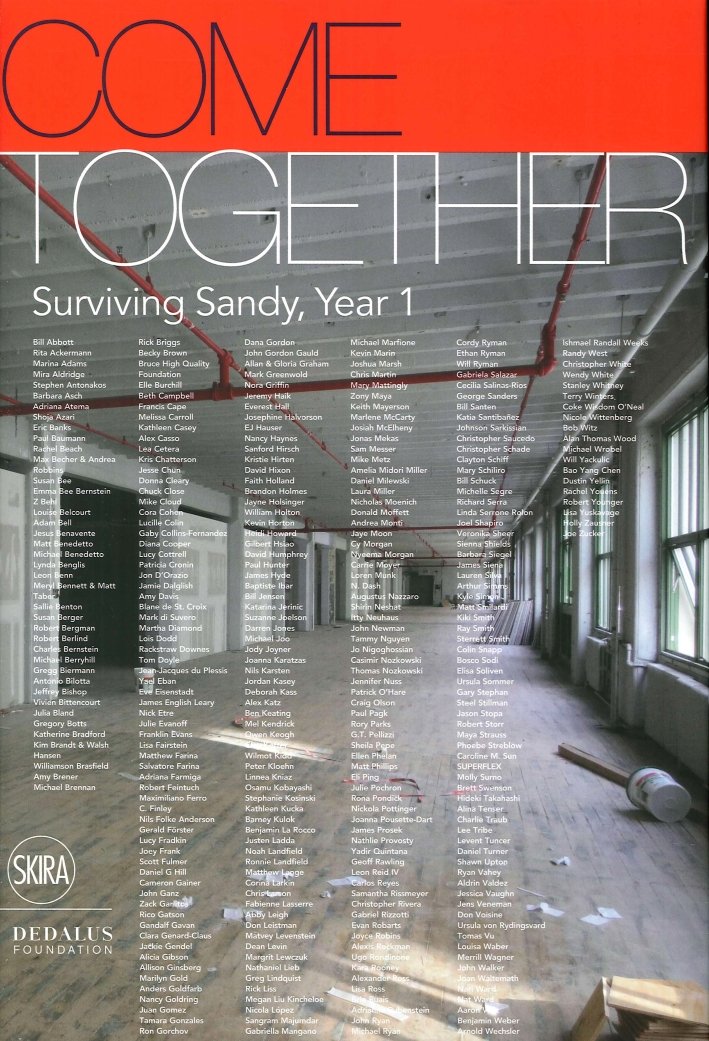Come Together. Surviving Sandy, Year 1, Milano, Skira, 2013 | Immagine principale