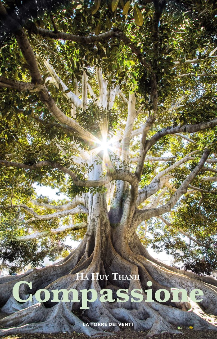 Compassione | Immagine principale