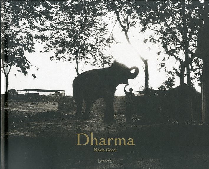 Dharma, Bologna, Damiani, 2008