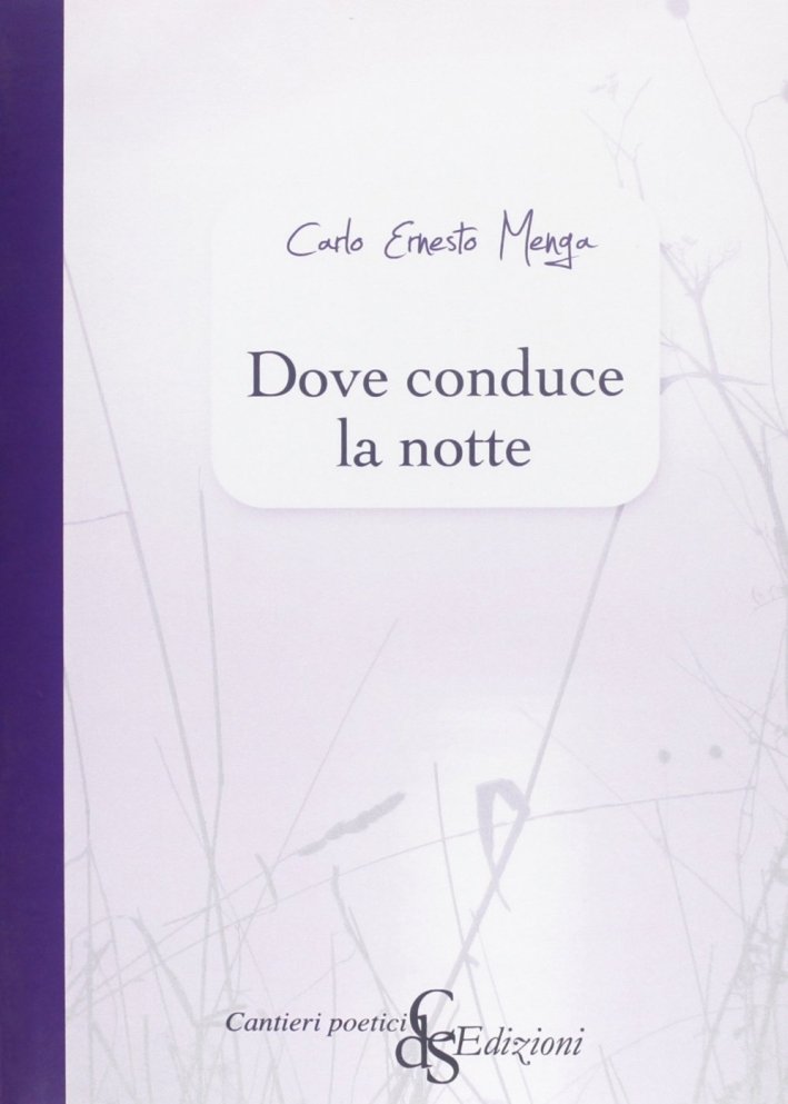 Dove conduce la notte, Reggio Calabria, Edizioni Città del Sole, …