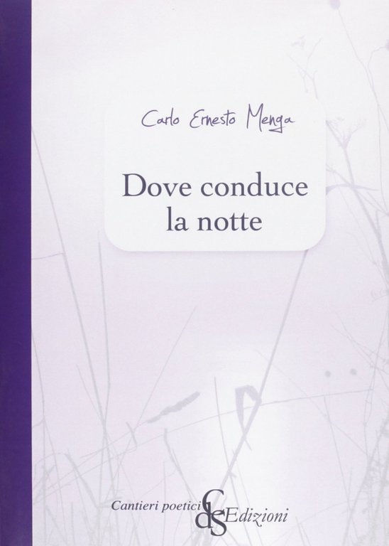 Dove conduce la notte, Reggio Calabria, Edizioni Città del Sole, 2012