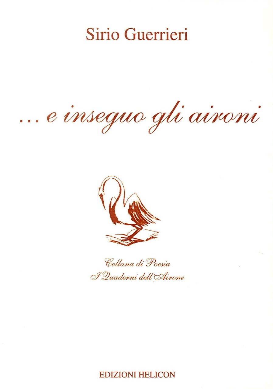 ... E inseguo gli aironi | Immagine principale