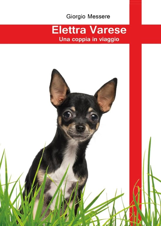 Elettra Varese. Una coppia in viaggio..., Tricase, youcanprint, 2014