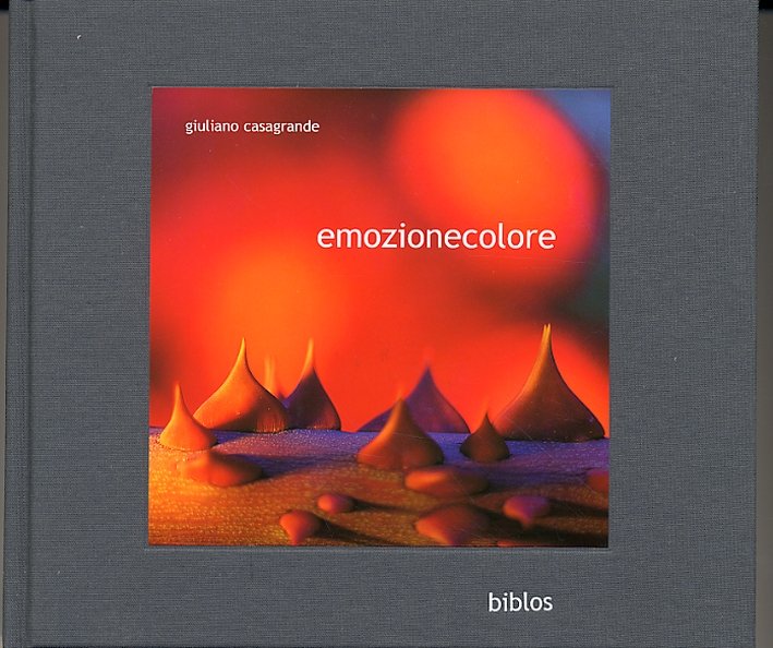 Emozionecolore. Coloremotion. 360° + 5 giorni, Cittadella, Biblos, 2004