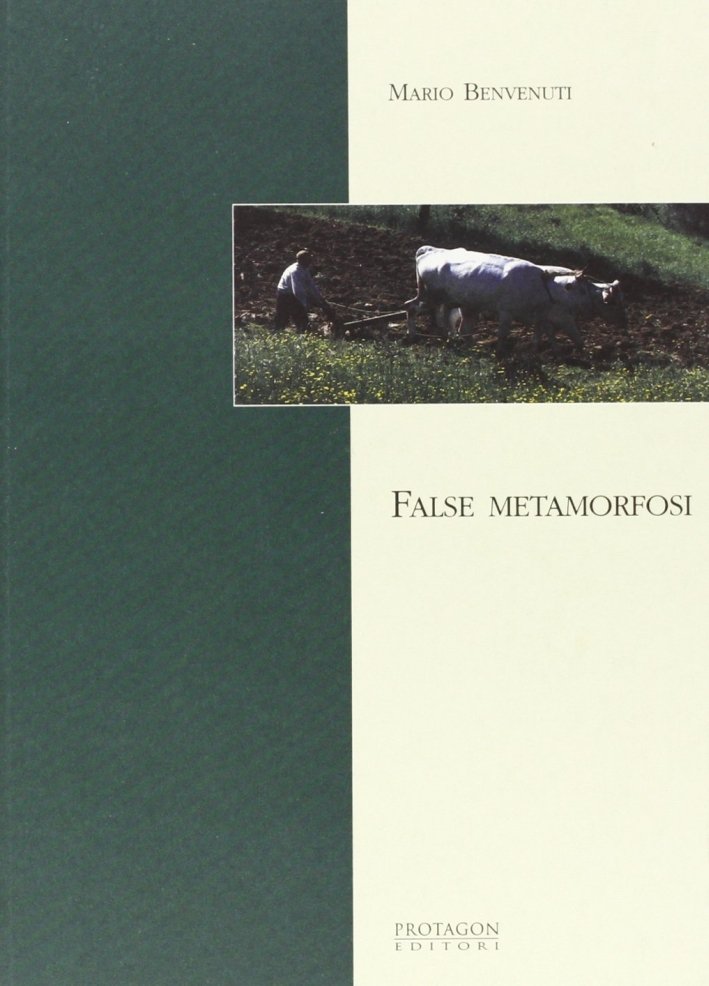 False metamorfosi, Colle Val d'elsa, Protagon Editori Toscani, 2004