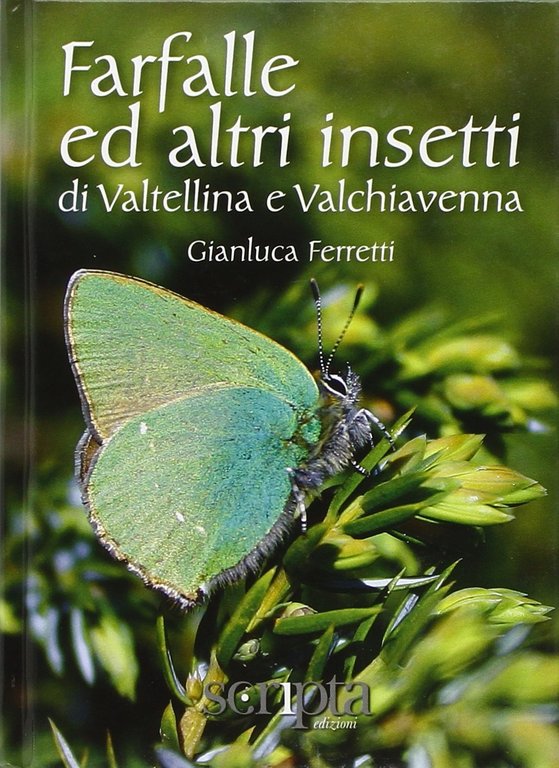 Farfalle e altri insetti di Valtellina e Valchiavenna