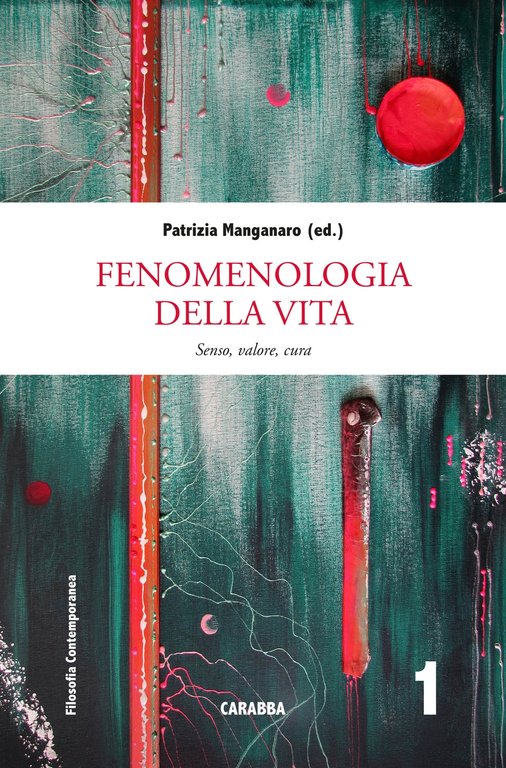 Fenomenologia dello spirito. Senso, valore, cura