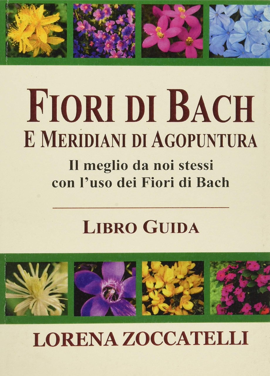 Fiori di Bach e meridiani di agopuntura | Immagine principale