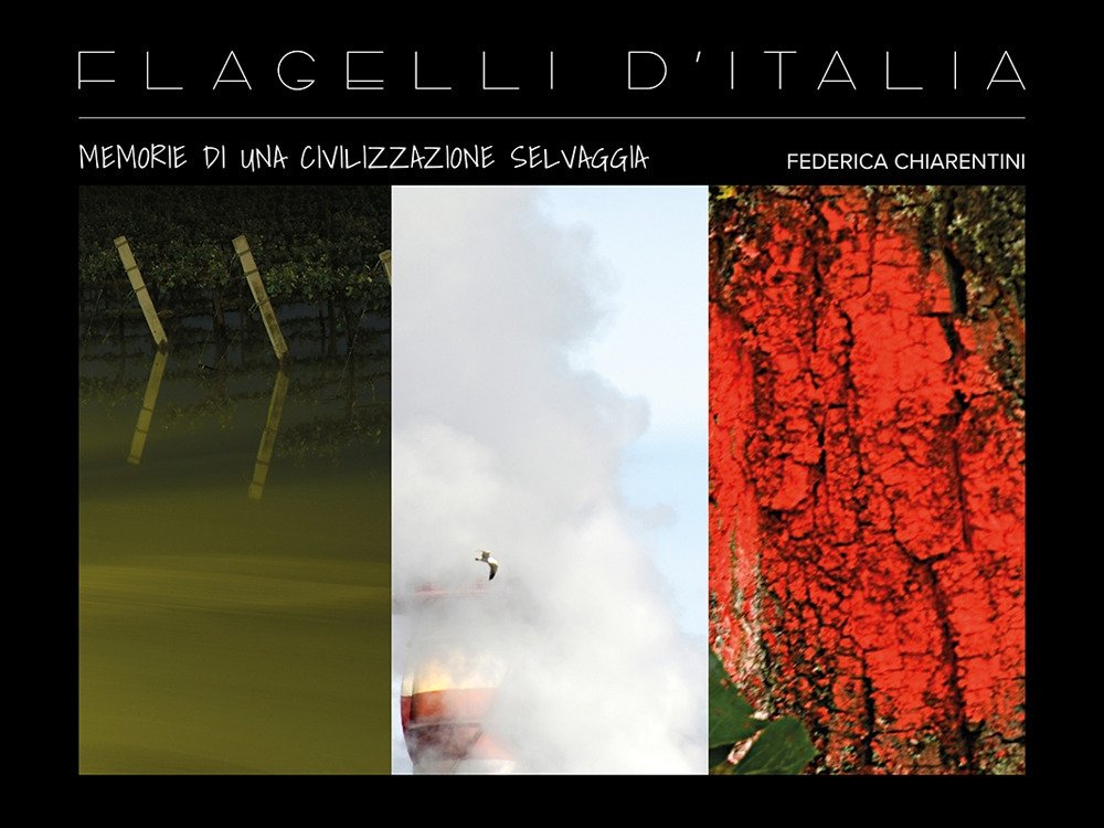 Flagelli d'Italia: memorie di una civilizzazione selvaggia