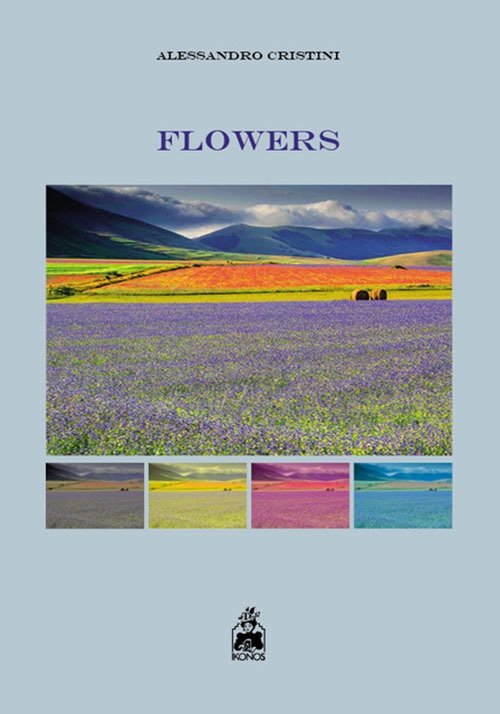 Flowers | Immagine principale