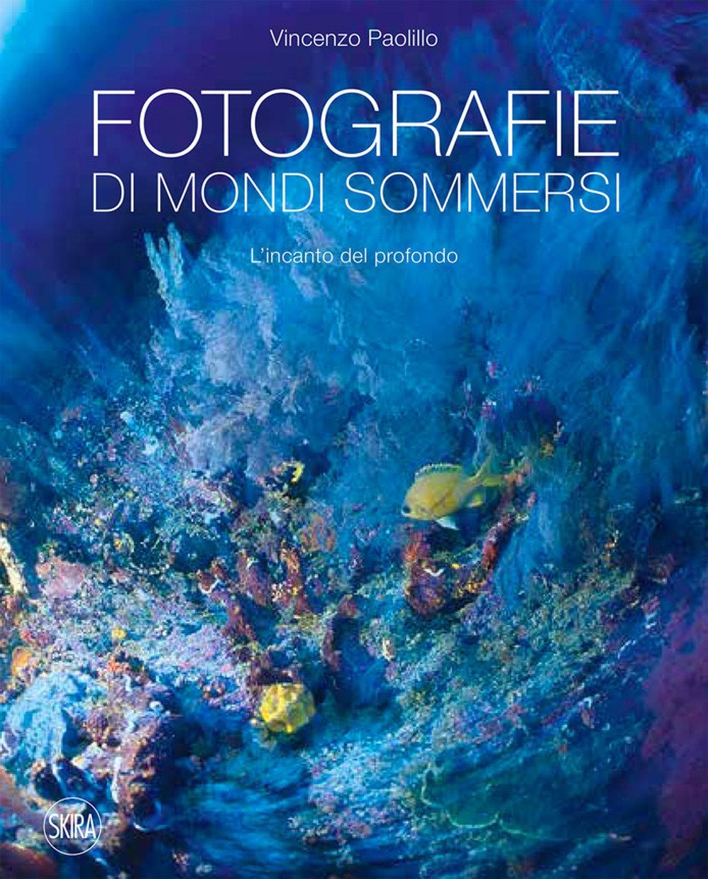 Fotografie di mondi sommersi. L'incanto del profondo | Immagine principale