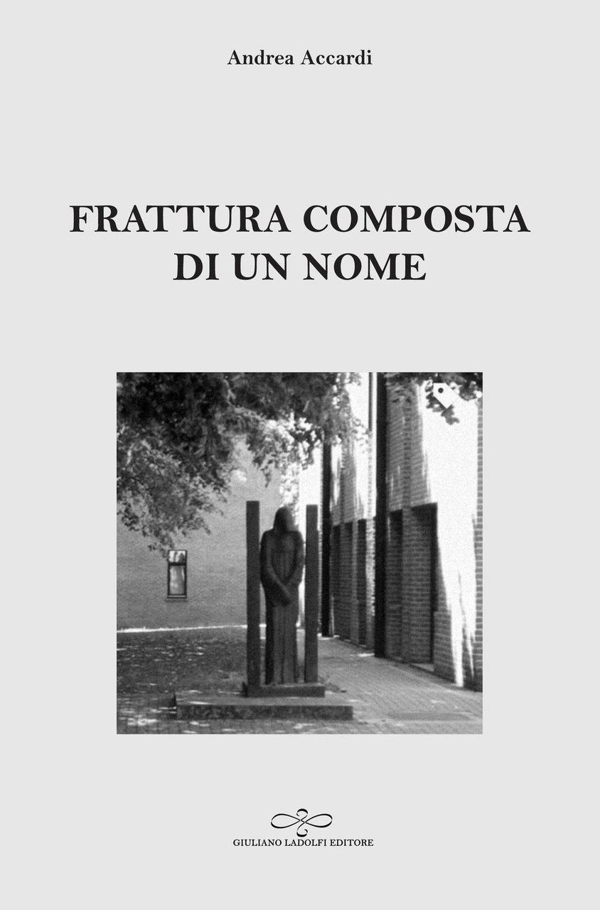 Frattura composta di un nome | Immagine principale