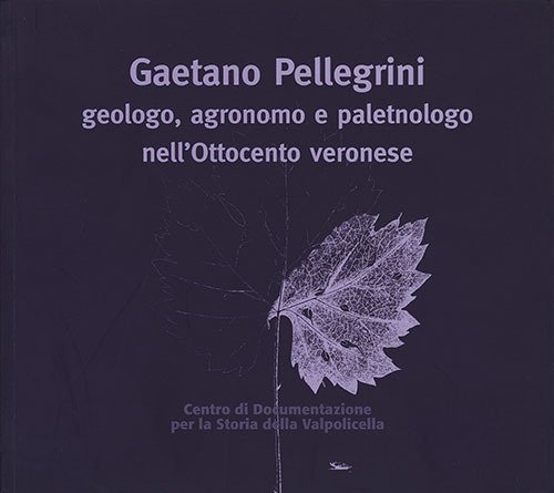 Gaetano Pellegrini geologo, agronomo e paletnologo nell'Ottocento veronese. Atti del … | Immagine principale