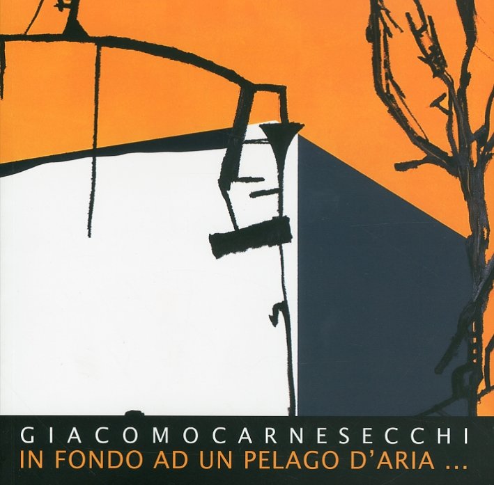 Giacomo Carnesecchi. In fondo ad un pelago d'aria, Pistoia, Settegiorni …