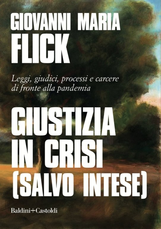 Giustizia in crisi (salvo intese). Leggi, giudici, processi e carcere di fronte alla pandemia, Milano, Baldini Castoldi Dalai, 2020