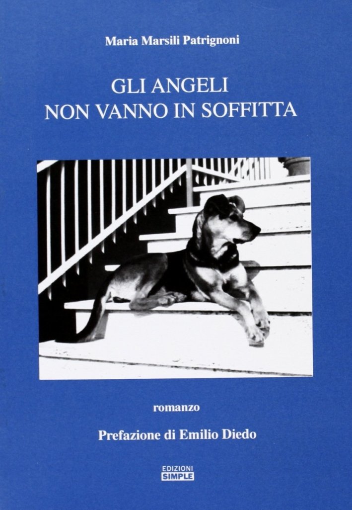 Gli angeli non vanno in soffitta, Macerata, Simple, 2012 | Immagine principale