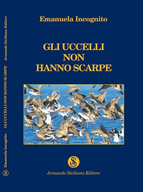 Gli uccelli non hanno scarpe, Messina, Armando Siciliano Editore, 2009 | Immagine principale
