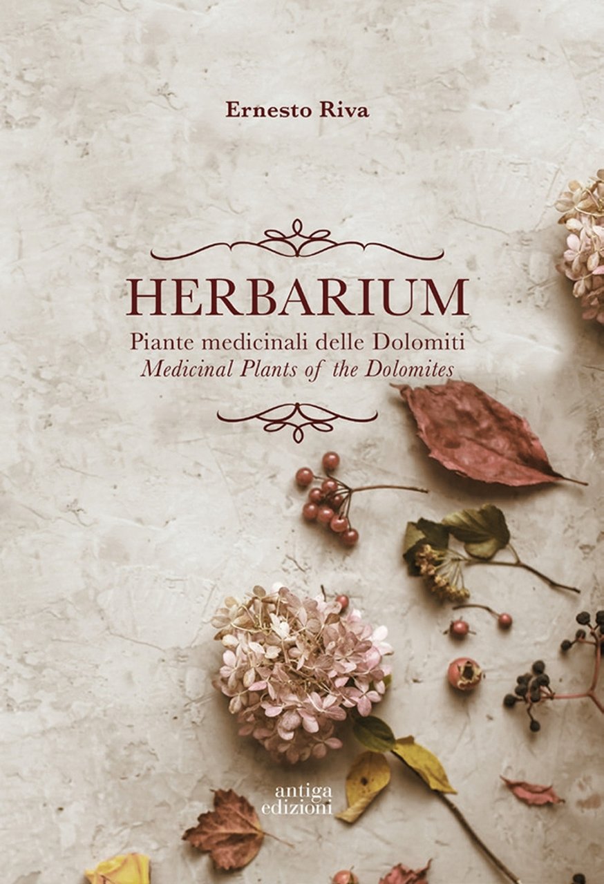 Herbarium. Piante medicinali delle Dolomiti. Medicinal Plants of the Dolomites