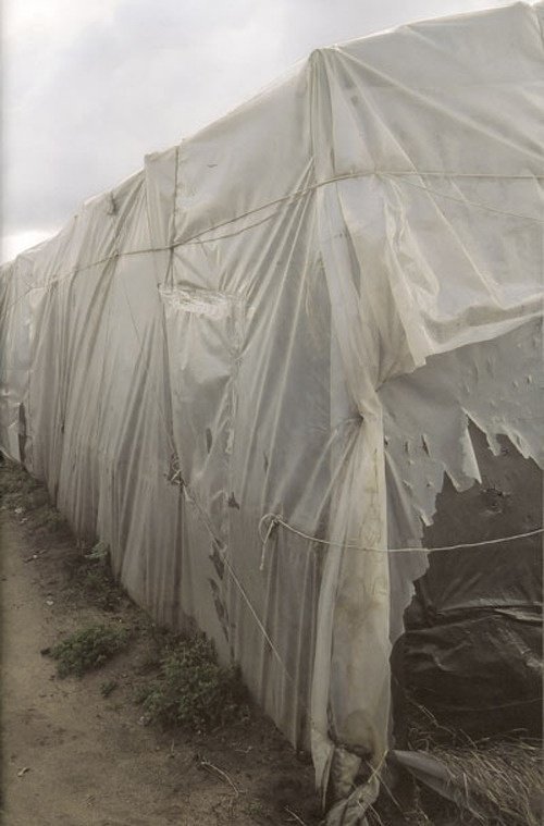 Home | Immagine principale