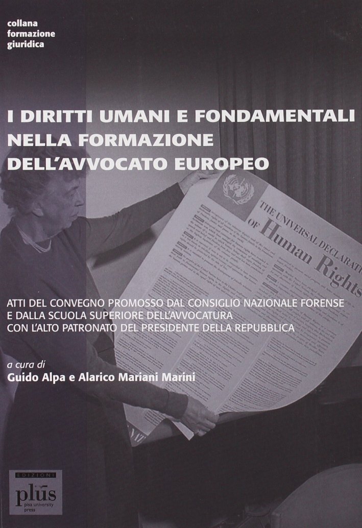 I diritti umani e fondamentali nella formazione dell'avvocato europeo. Atti … | Immagine principale