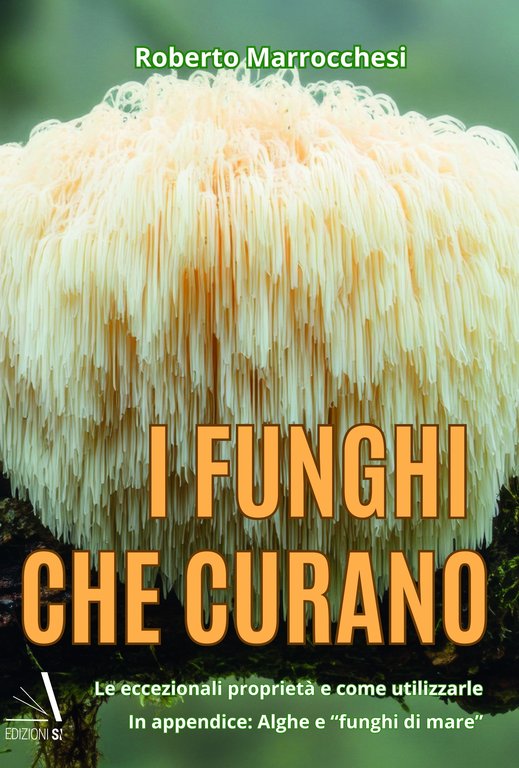 I Funghi che Curano